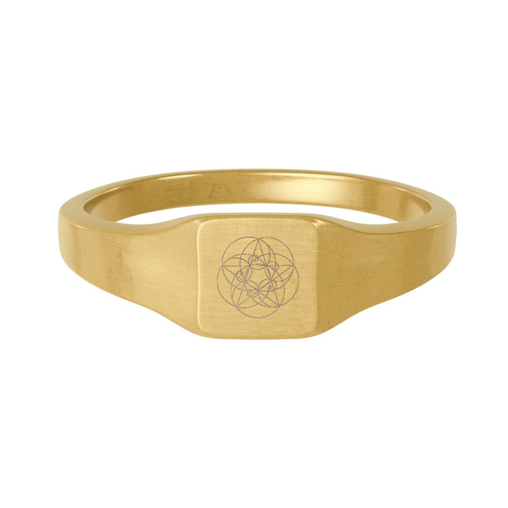 Fibonacci Gold Stainless Steel Ring